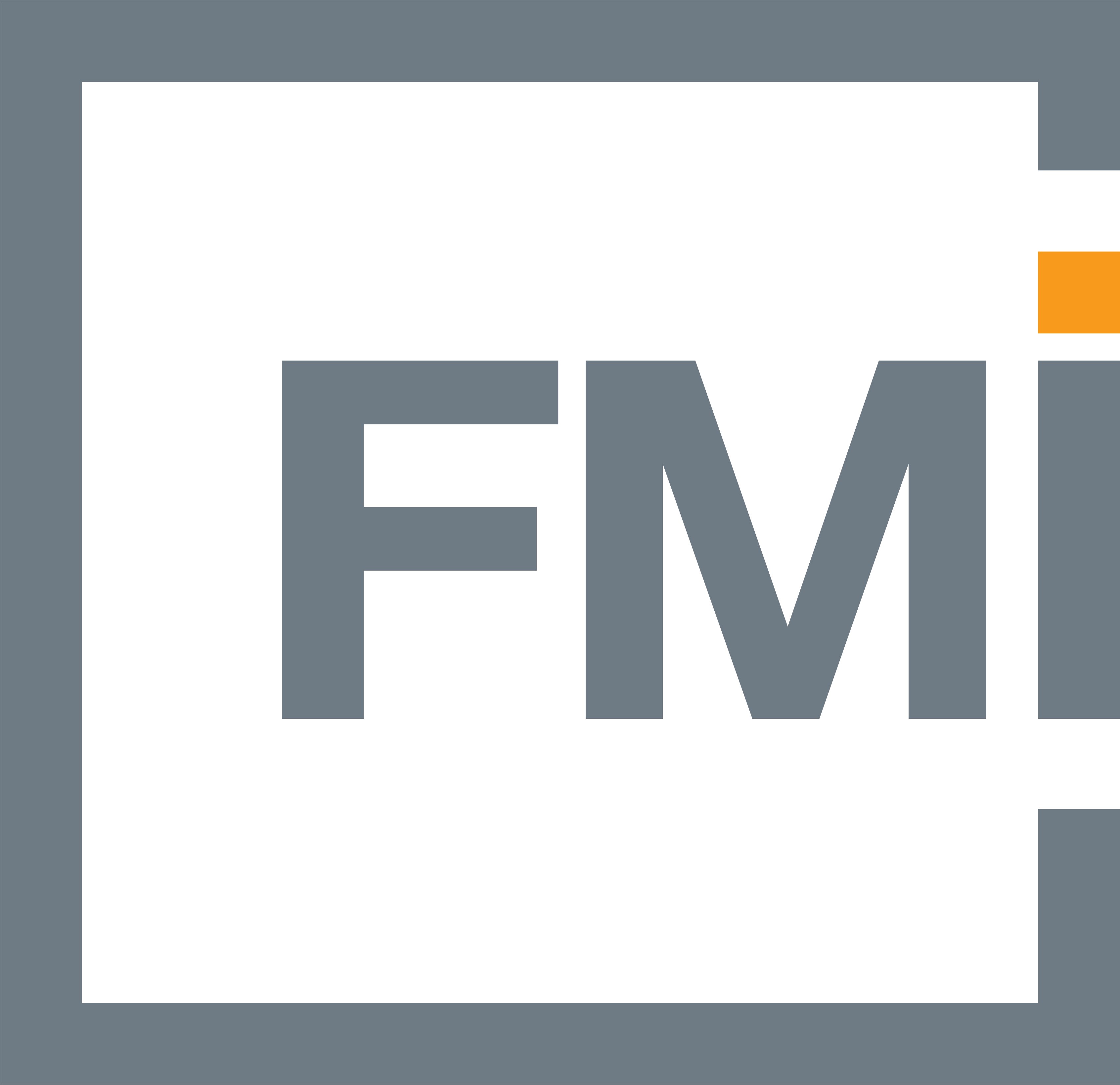FMI Corporation_color-1